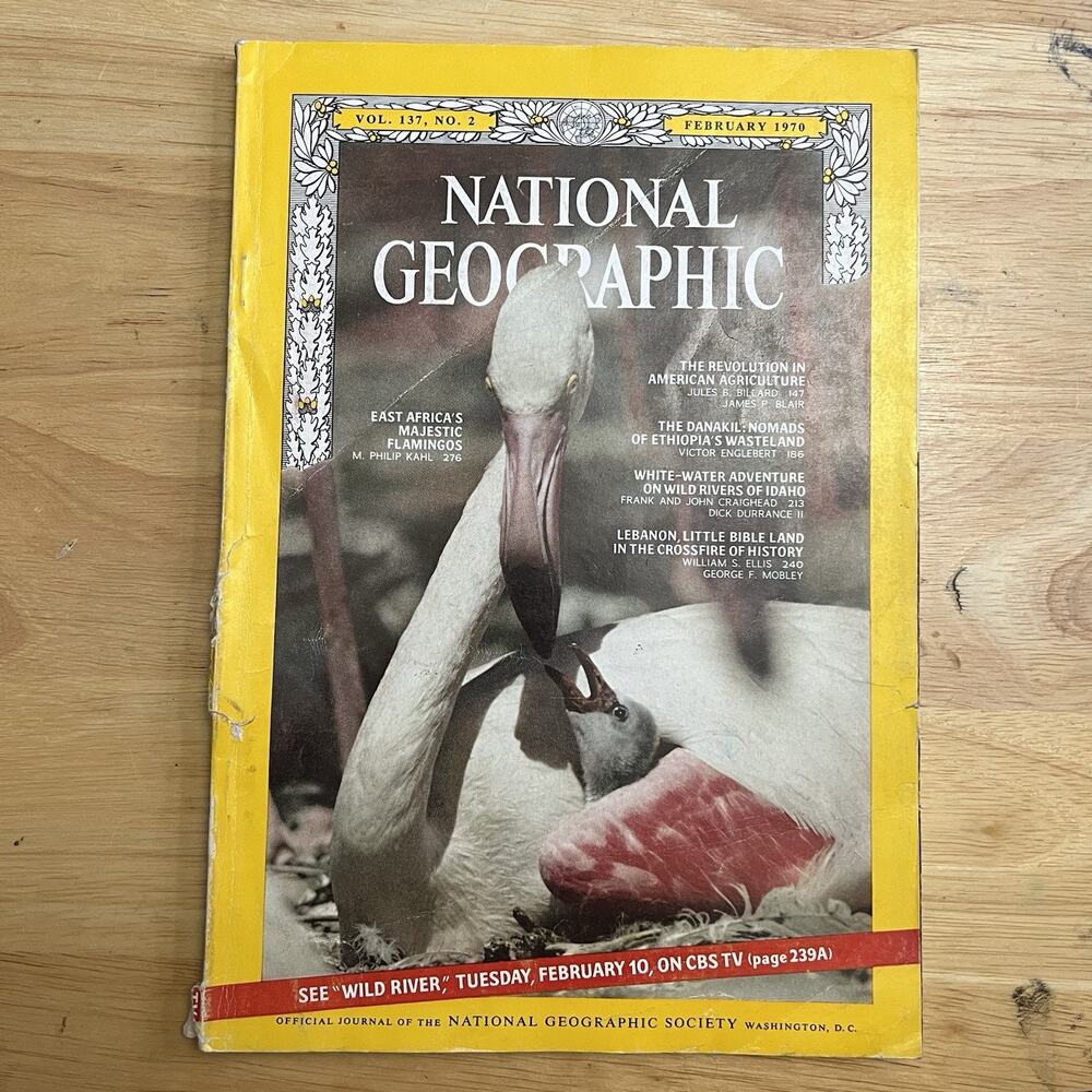 National Geographic Magazine Vintage February 1970 Flamingos Lebanon Ethiopia